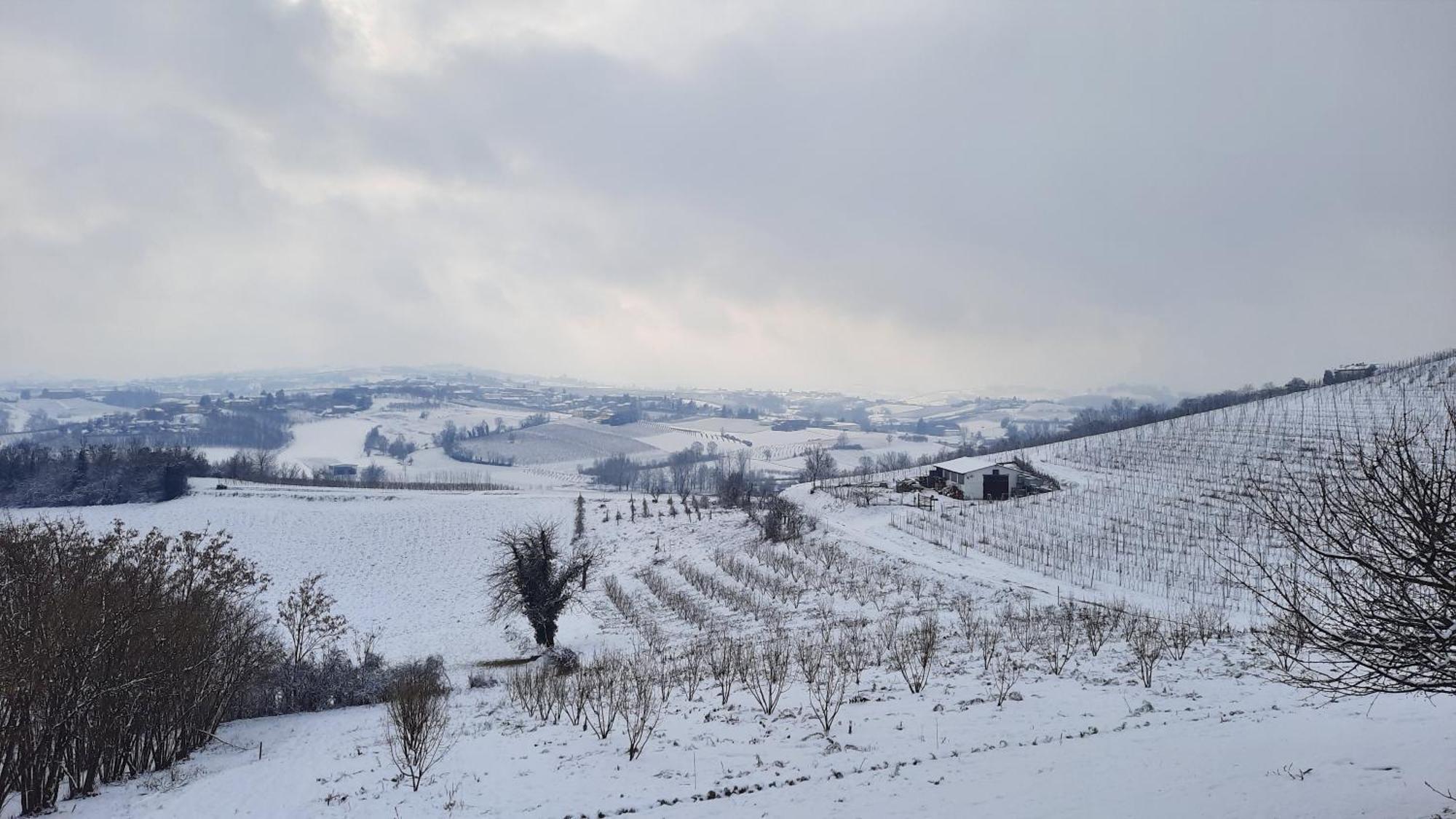 San Rocco Di Villa Di Isola D'Asti Buitenkant foto