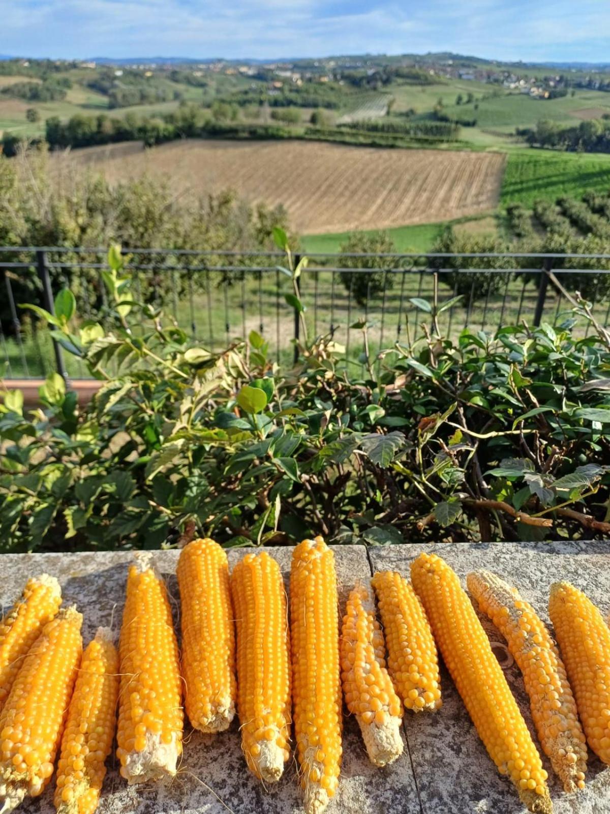 San Rocco Di Villa Di Isola D'Asti Buitenkant foto